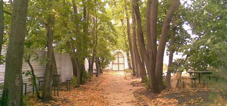 Оздоровительный центр Аллея