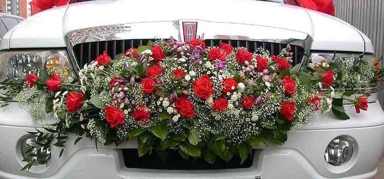 Event агентство Туса на 5+