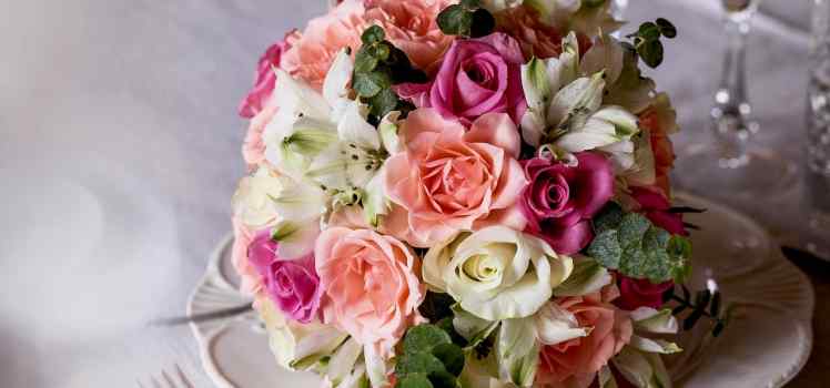 Агентство Красный пион