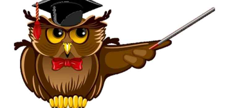 ООО Ваше право