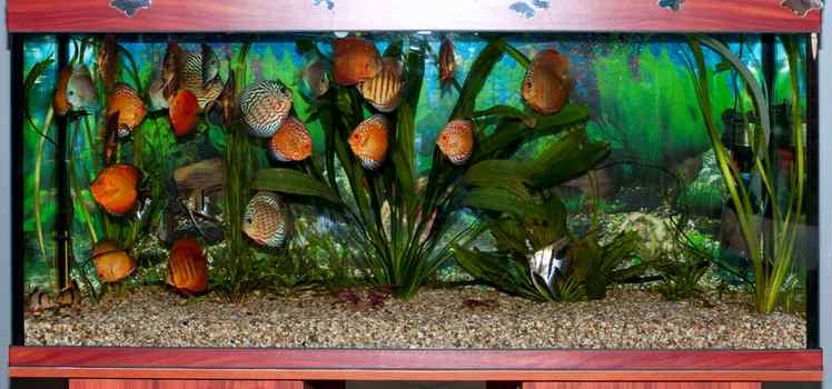 Салон красоты Бигуди