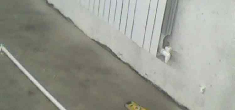 Компания CТуС