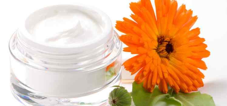 Биомаркет Можжевельник