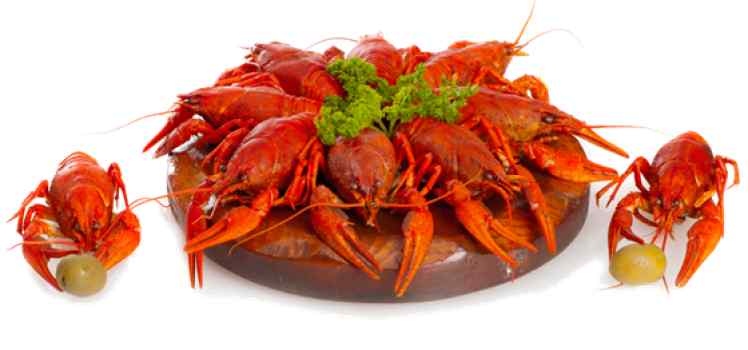 Магазин Раки48