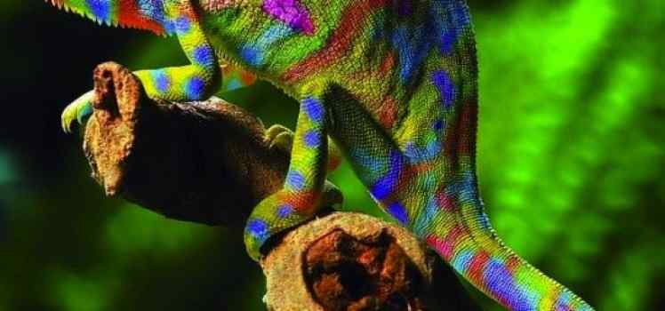 Компания Waterpaint