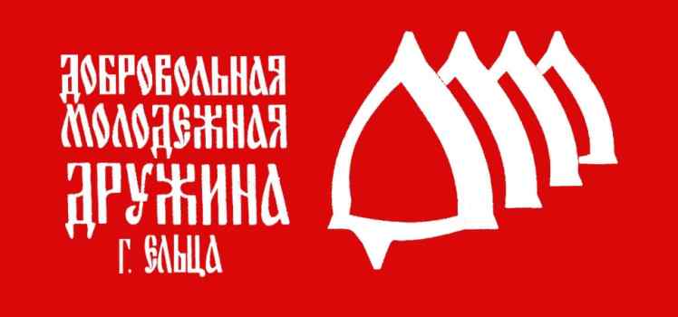 Добровольная молодёжная дружина