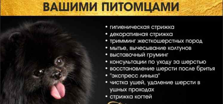 Груминг кабинет (Мастер Юлия Руднева)