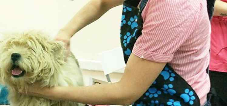 Груминг кабинет (Мастер Юлия Руднева)