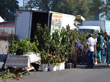 ТД Раздолье