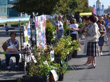 ТД Раздолье
