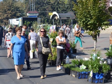 ТД Раздолье