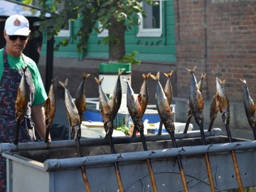 ТД Раздолье