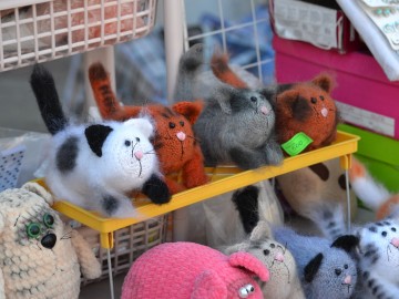 ТД Раздолье