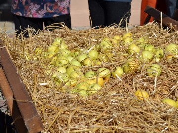 ТД Раздолье