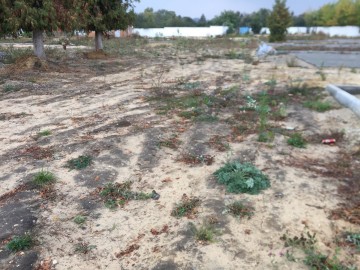 ТД Раздолье