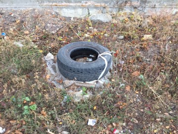 ТД Раздолье