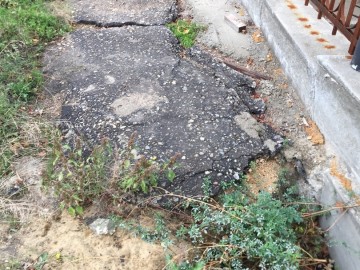 ТД Раздолье