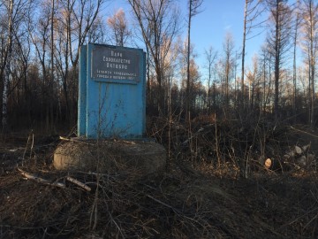 ТД Раздолье