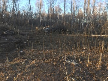 ТД Раздолье