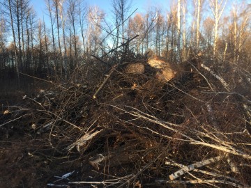 ТД Раздолье