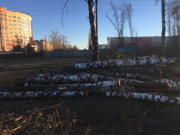 ТД Раздолье