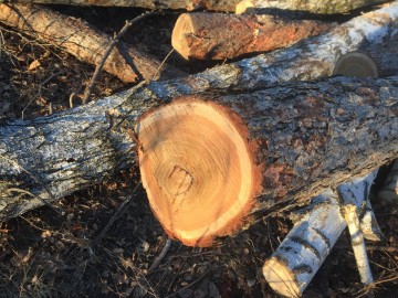 ТД Раздолье