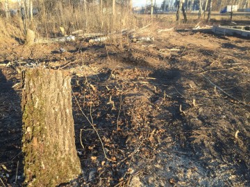 ТД Раздолье