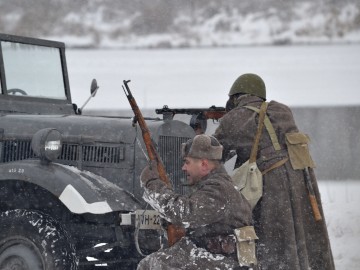 ТД Раздолье