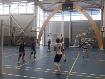 ТД Раздолье