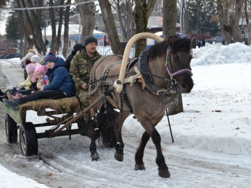 ТД Раздолье