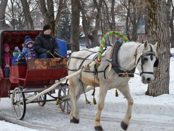 ТД Раздолье