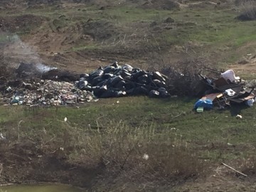 ТД Раздолье