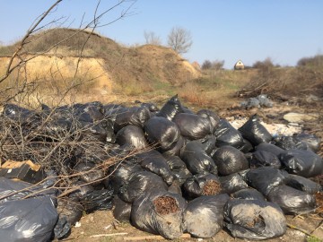 ТД Раздолье