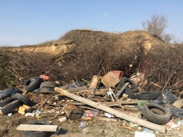 ТД Раздолье