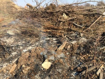 ТД Раздолье