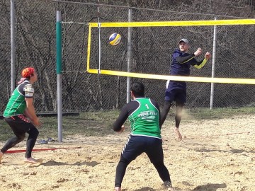 ТД Раздолье