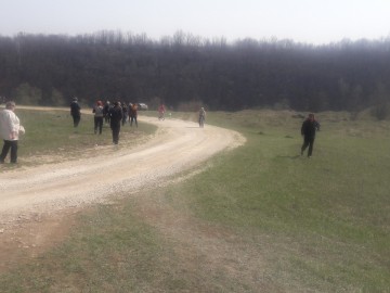 ТД Раздолье