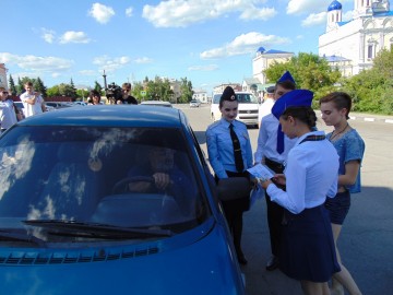 ТД Раздолье