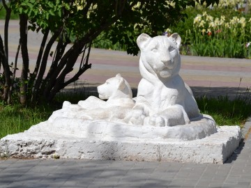 ТД Раздолье