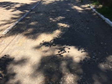 ТД Раздолье