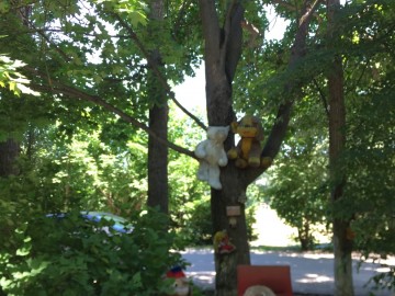 ТД Раздолье