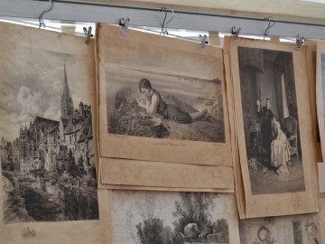 ТД Раздолье