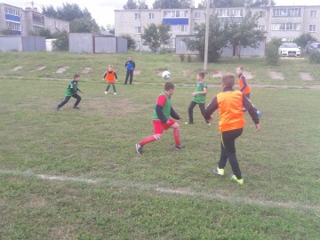 ТД Раздолье