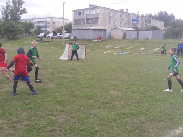 ТД Раздолье