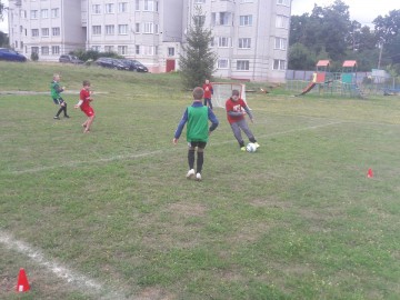 ТД Раздолье