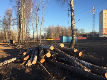 ТД Раздолье