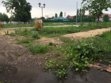 ТД Раздолье