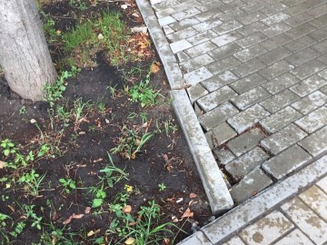 ТД Раздолье