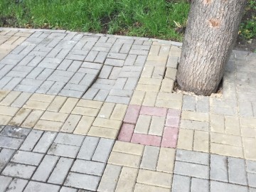 ТД Раздолье