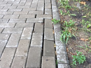 ТД Раздолье